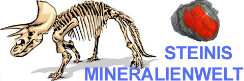 Mineralien und Fossilien-Logo